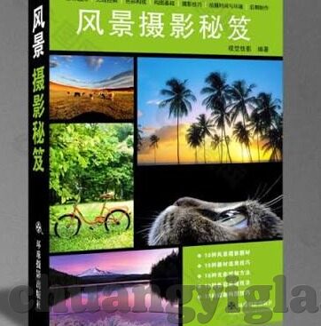 91麻豆av在线-多元魅力的网媒探索，深入洞察91麻豆av的多元化内容呈现