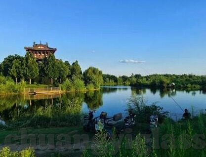 91麻豆传媒直播-91麻豆传媒直播现象的多元化透视