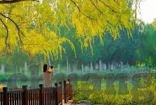 91探花麻豆-徜徉于创意的海洋，91探花麻豆的艺术与文化交汇