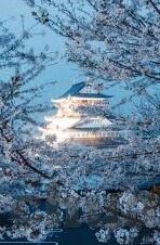 糖心app最新下载地址-如何轻松获取糖心App最新下载渠道指南